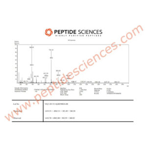BPC-157, TB-500, KPV, GHK-Cu 80mg (Klow Blend) - Peptide Sciences - Image 10