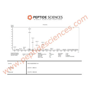 BPC-157, TB-500 Wolverine stack 10mg (Blend) - Peptide Sciences 13 BPC-157, TB-500 Wolverine stack 10mg (Blend) - Peptide Sciences - Image 7