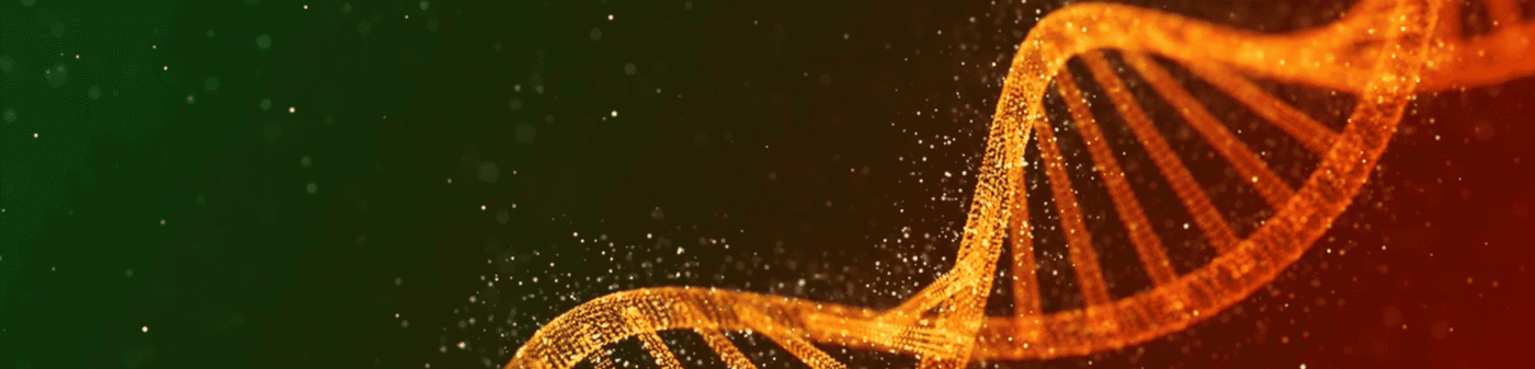 ps banner 4